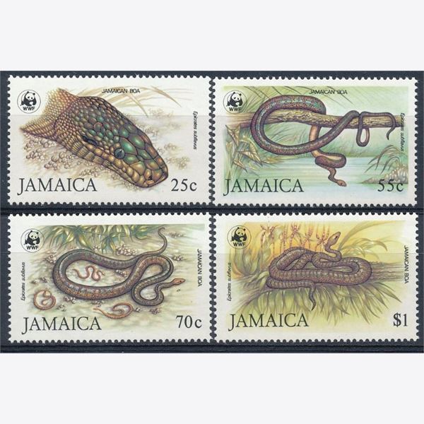 Jamaica 1984