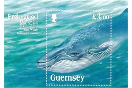 Guernsey 2011
