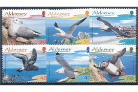 Alderney 2006