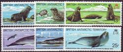 British Antarctic 1983