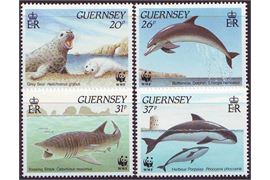 Guernsey 1990