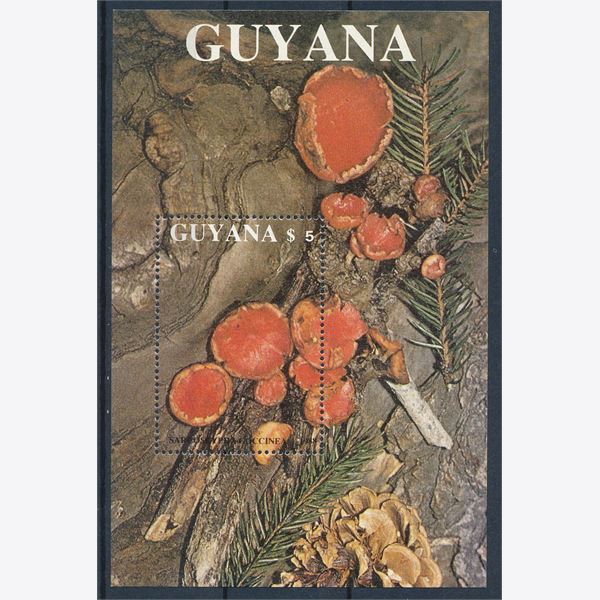 Guyana 1989