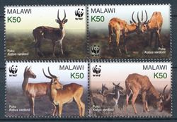 Malawi 2003